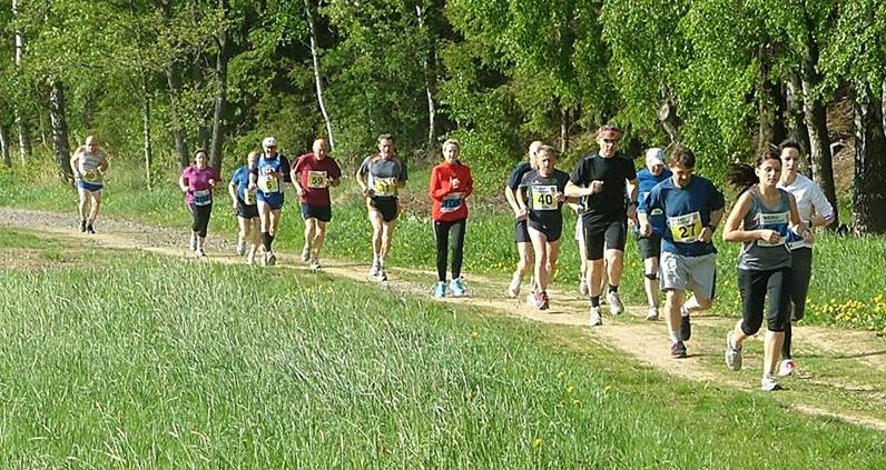 Obsah obrázku venku, strom, tráva, osoba
Popis byl vytvořen automaticky