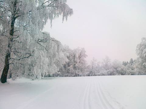 foto_319