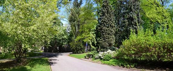 Obsah obr�zku strom, tr�va, exteri�r, rostlina

Popis byl vytvo�en automaticky